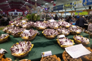 2013radicchio02.jpg(54018 byte)