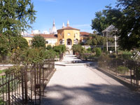 101_orto01s.jpg(1618 byte)
