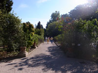 101_orto03s.jpg(1618 byte)