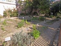 101_orto05s.jpg(1618 byte)